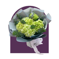 Ramo Chloe (Alias el brocoli aestetik)