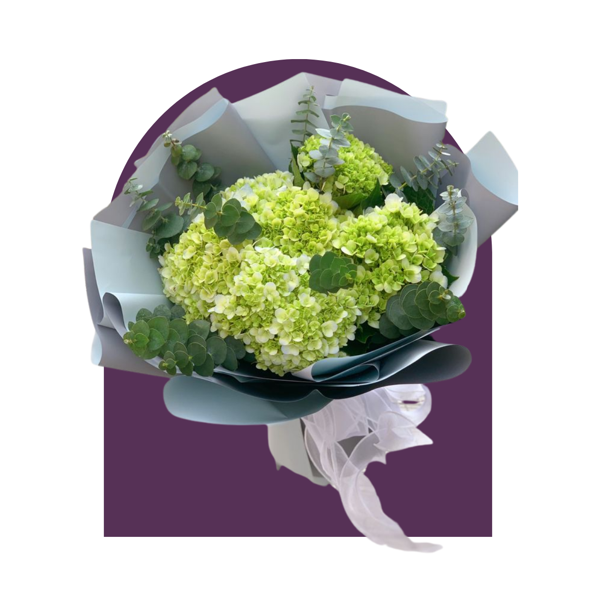 Ramo Chloe (Alias el brocoli aestetik)