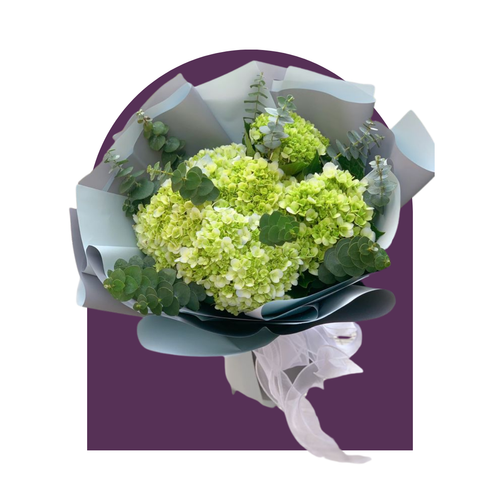 Ramo Chloe (Alias el brocoli aestetik)