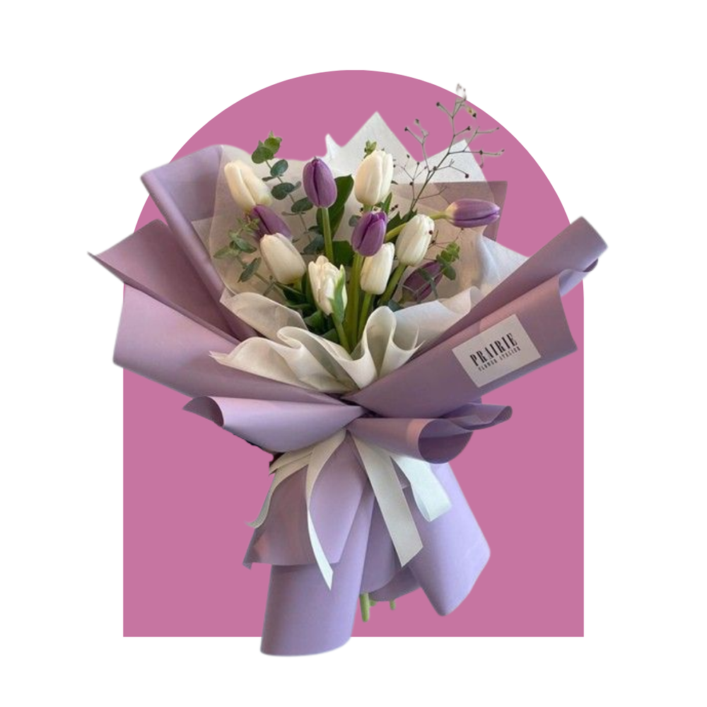 Donatella Tulipanes
