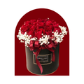 Box Milenio rojo