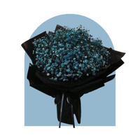 Oceano Azul